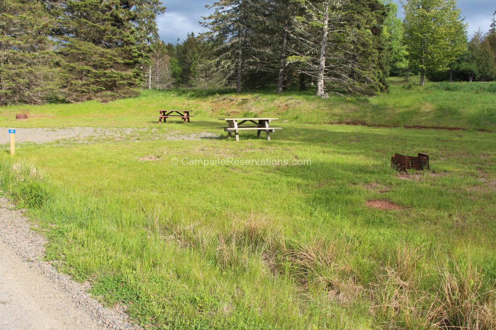 Campsite 42 in Five Islands Provincial Park Campground at Five Islands